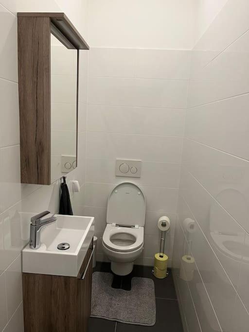 New Design Wohnung-Wien Экстерьер фото